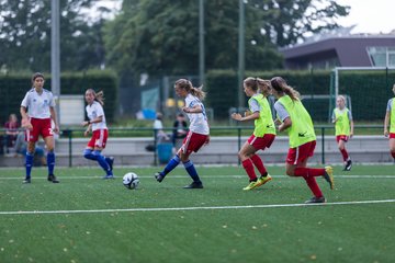 Bild 137 - C-Juniorinnen HSV - Walddoerfer : Ergebnis: 9:1